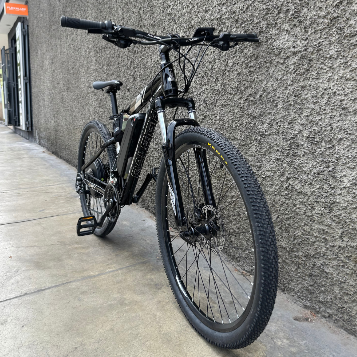Ebike Raleigh