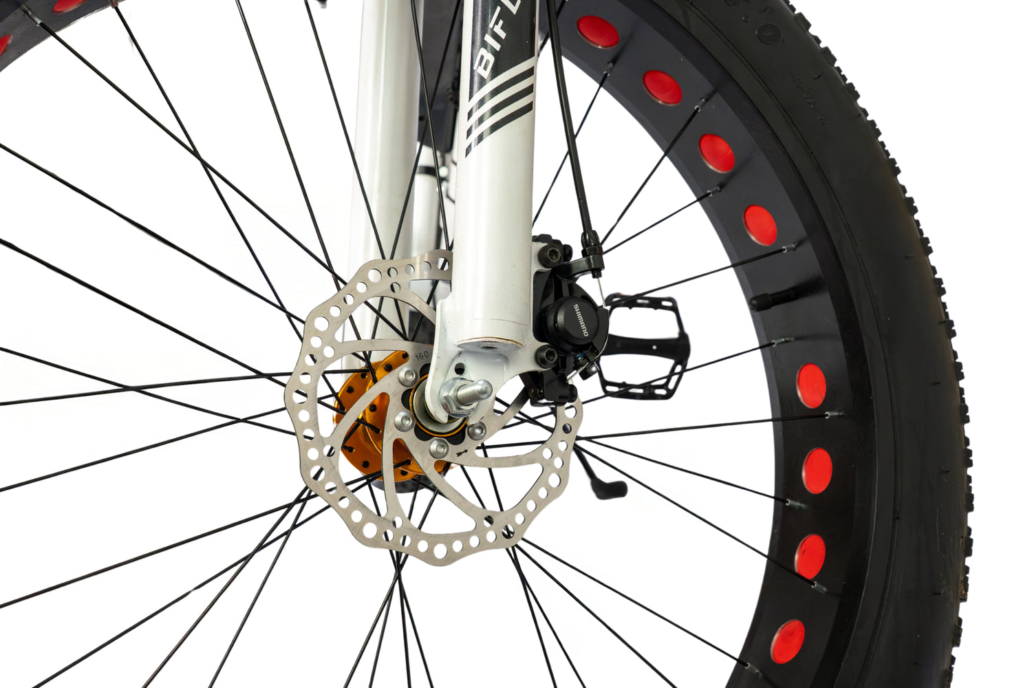 Fat Bike Monster