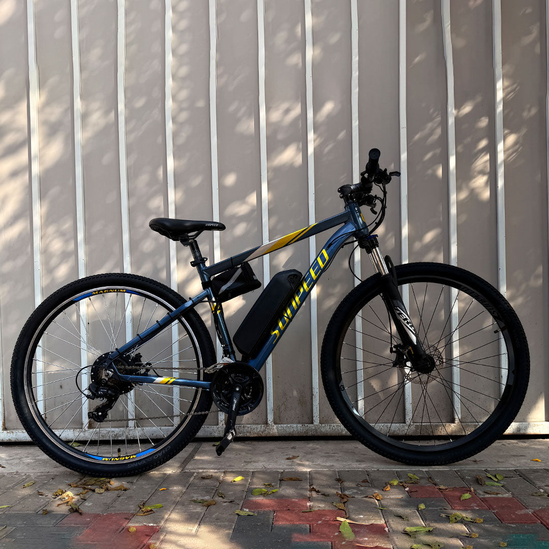 Sunpeed Electric