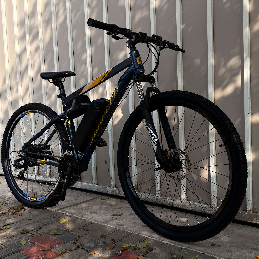 Sunpeed Electric