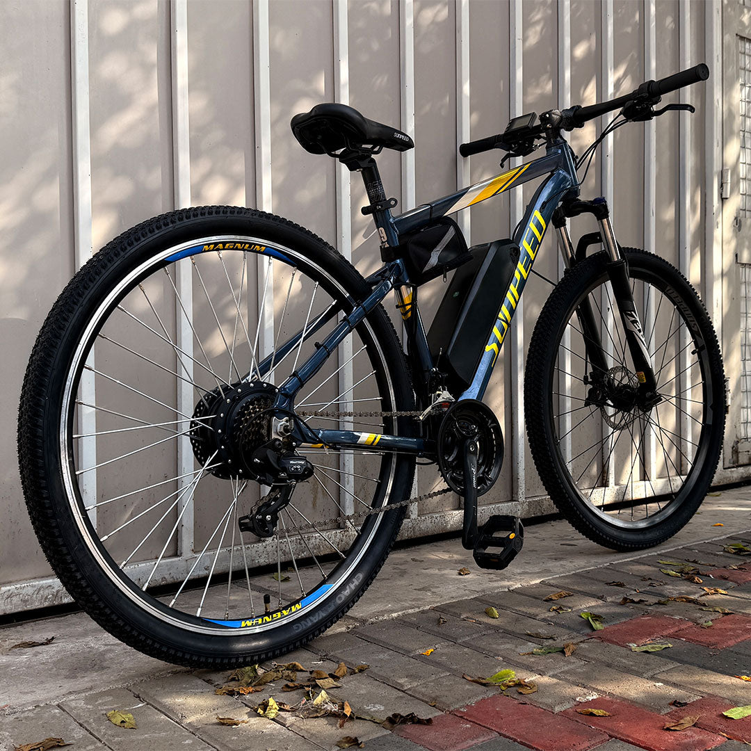 Sunpeed Electric