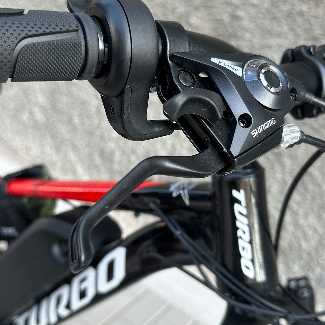 Turbo Ebike