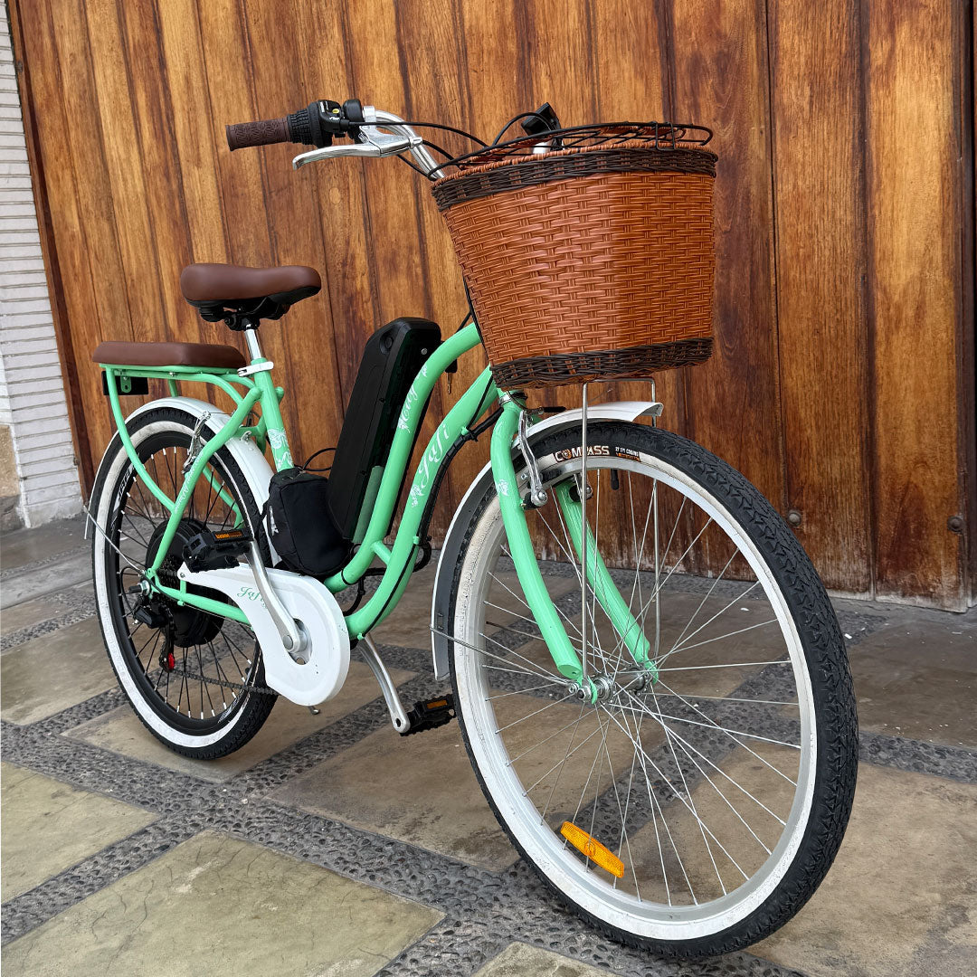 Ebike Regina