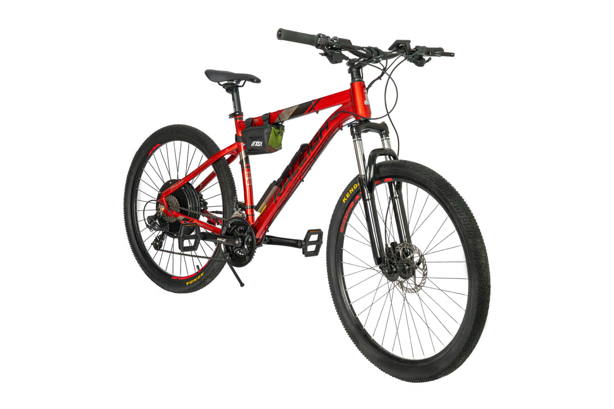 Ebike Raleigh