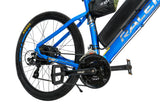 Ebike Raleigh