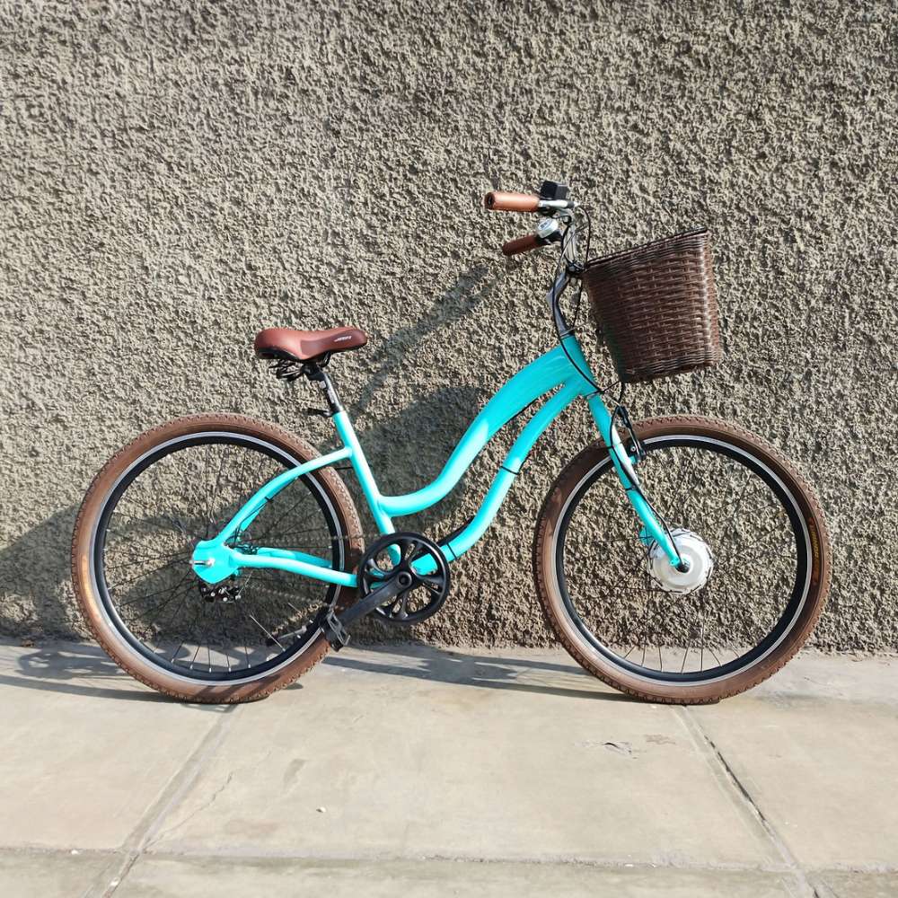 Ebike Regina