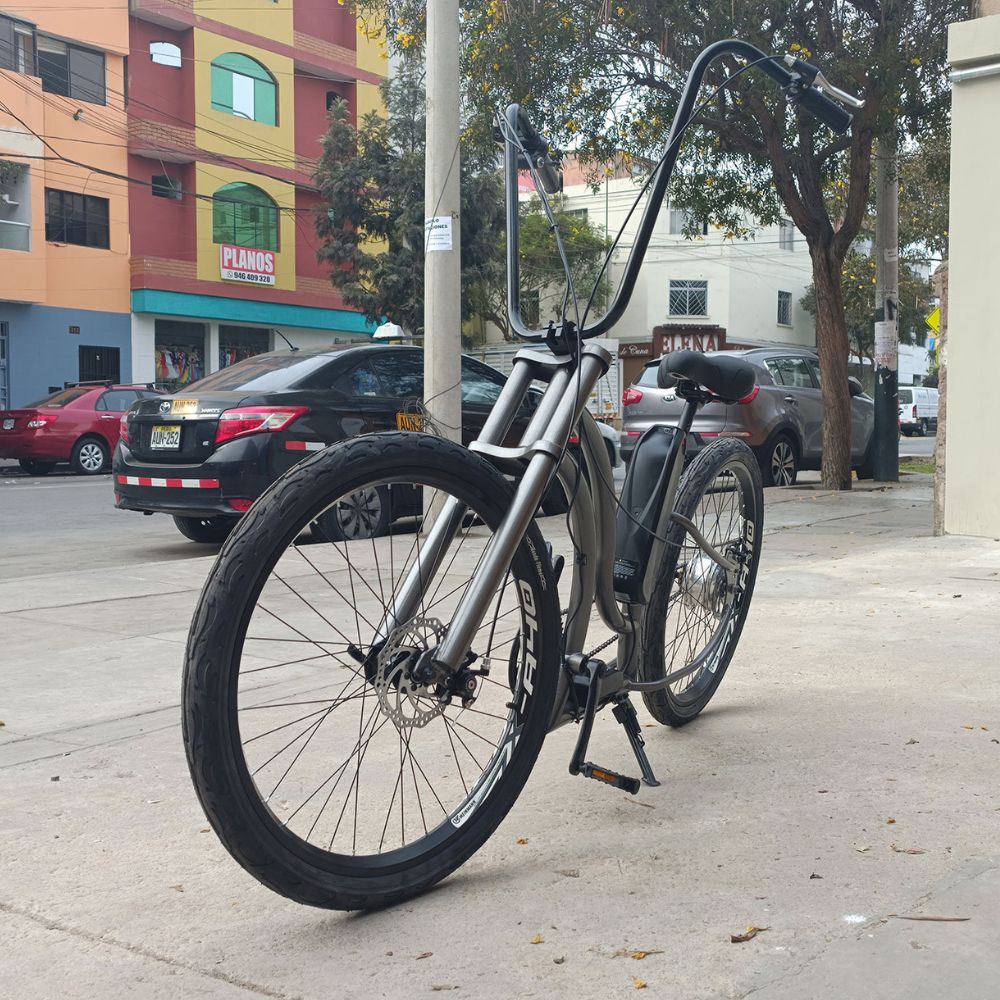 Lowrider Ebike