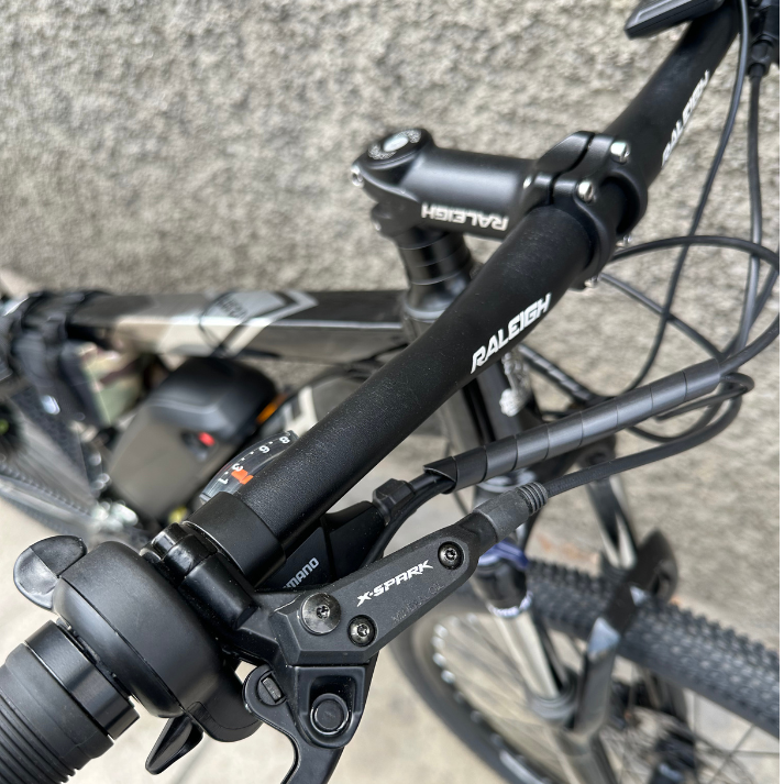 Ebike Raleigh
