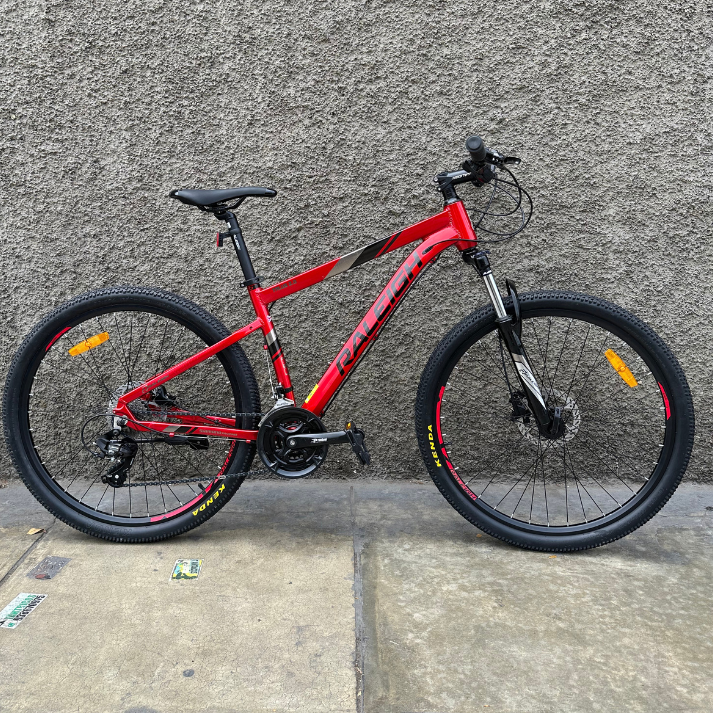 Ebike Raleigh