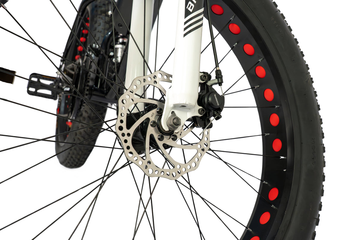 Fat Bike Monster