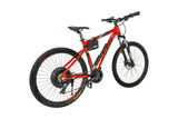 Ebike Raleigh