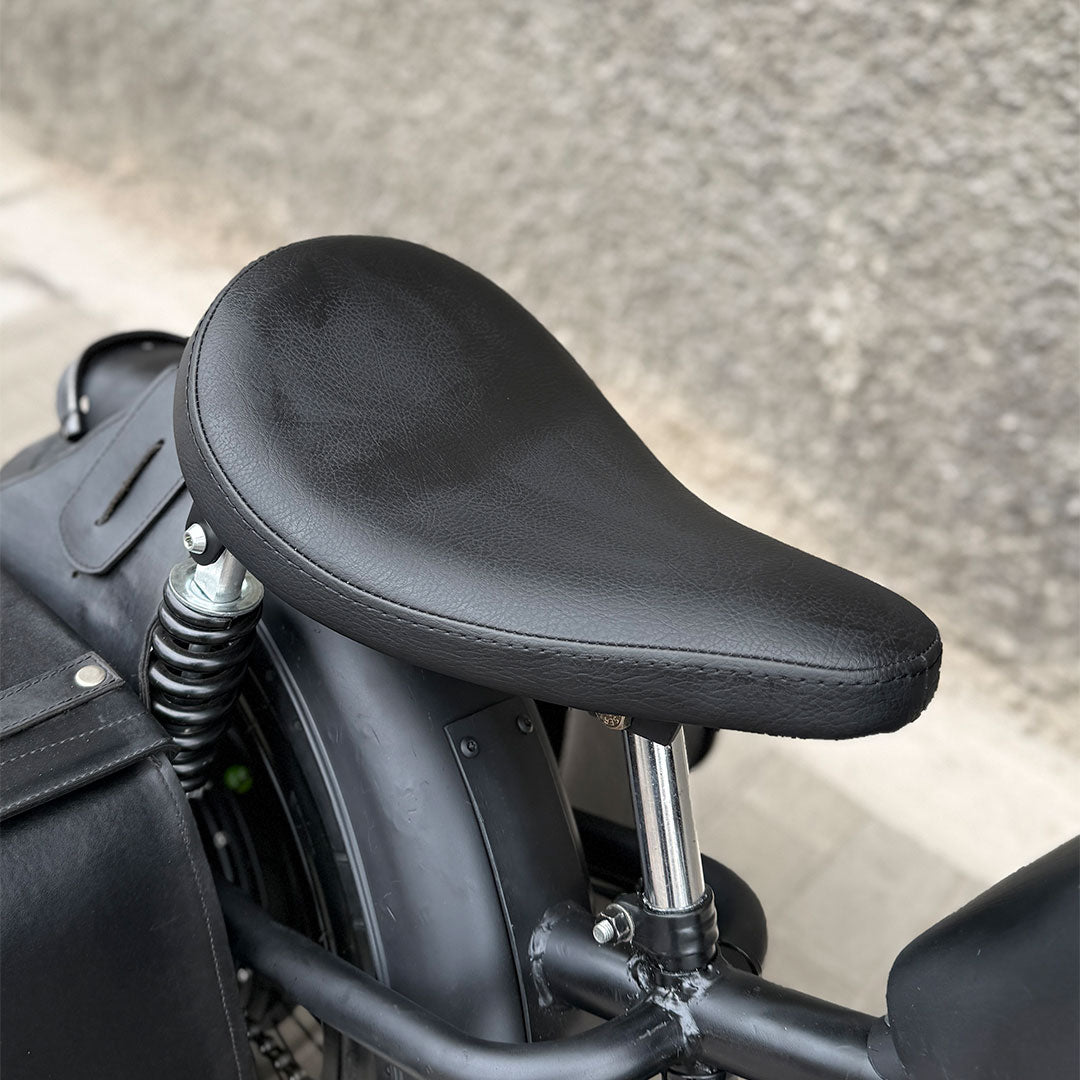 Ebike Trotamundos