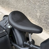 Ebike Trotamundos