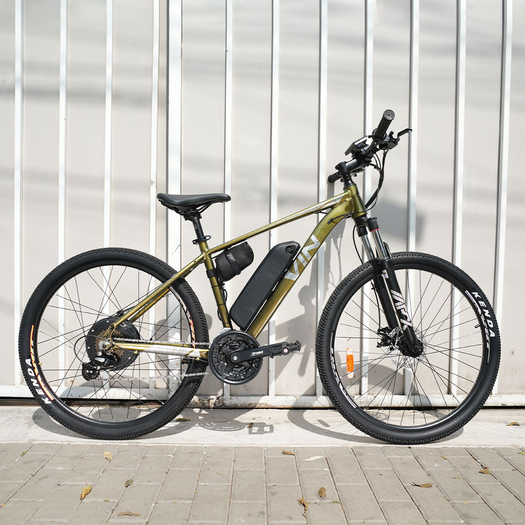 Ebike Tarzan