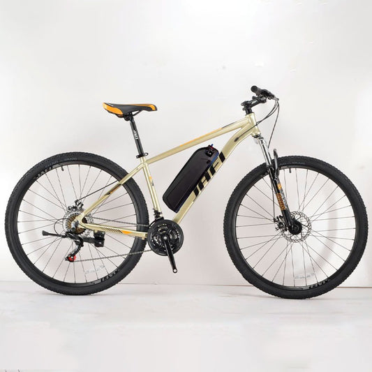 Ebike Vigorous