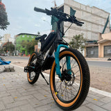 Ebike Cheky