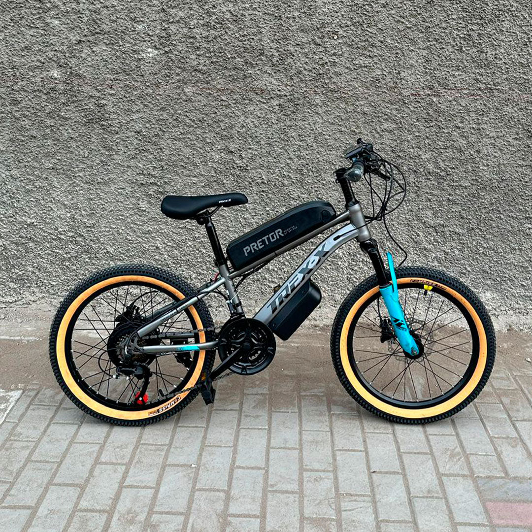Ebike Cheky