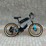 Ebike Cheky