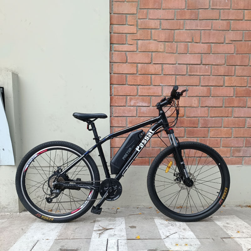 Ebike Passat