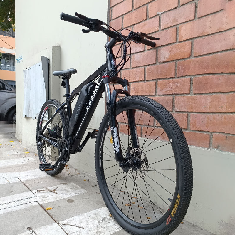 Ebike Passat