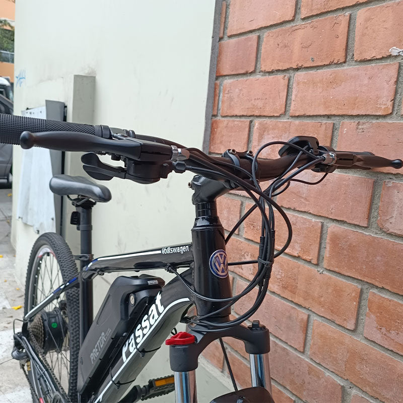 Ebike Passat