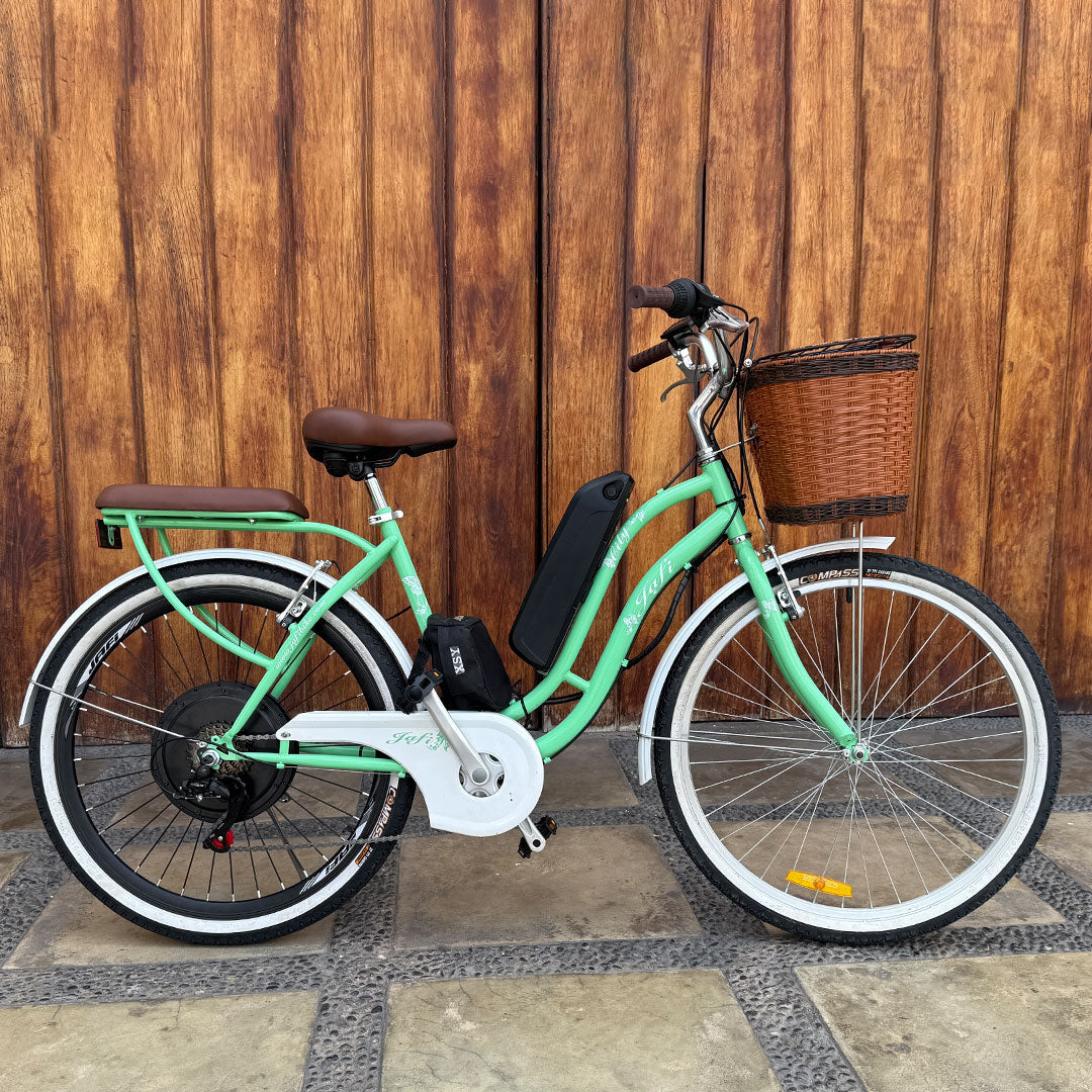 Ebike Regina